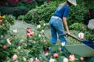 dekoratives Bild einer Person die sich der Gartenarbeit betätigt